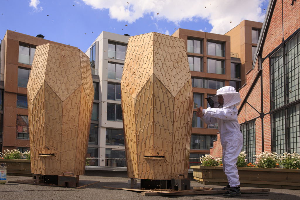 Bienenhaus Oslo