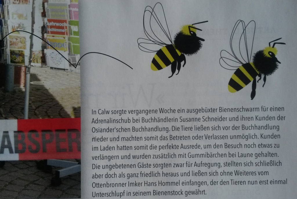 Buch und Biene